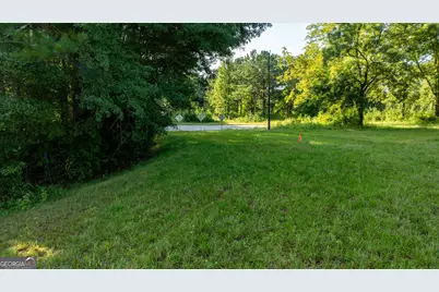 62 &amp; 80 Turin Road, Senoia, GA 30276 - Photo 44