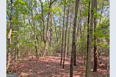10.59Ac T S Jarrard Road, Dahlonega, GA 30533 - Photo 1