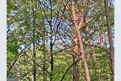 10.59Ac T S Jarrard Road, Dahlonega, GA 30533 - Photo 10