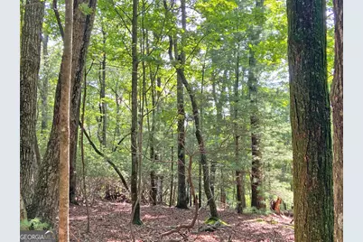 10.59Ac T S Jarrard Road, Dahlonega, GA 30533 - Photo 8