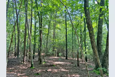 10.59Ac T S Jarrard Road, Dahlonega, GA 30533 - Photo 12