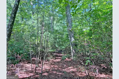 10.59Ac T S Jarrard Road, Dahlonega, GA 30533 - Photo 14