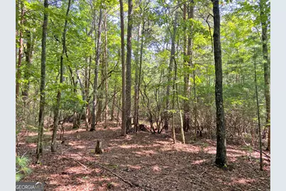 10.59Ac T S Jarrard Road, Dahlonega, GA 30533 - Photo 2