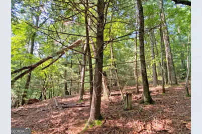 10.59Ac T S Jarrard Road, Dahlonega, GA 30533 - Photo 6