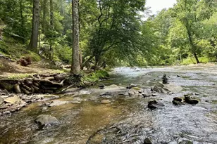 40 Varix Ct, Ellijay, GA 30540 - Photo 8