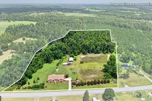 5281 US Hwy 221, Soperton, GA 30457 - Photo 1