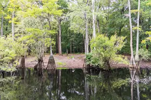 131 High Bluff Rd, Rincon, GA 31326 - Photo 54