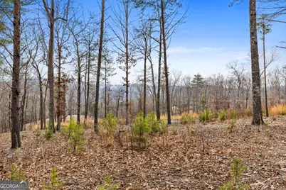 Lot 162 Ridge Drive, Morganton, GA 30560 - Photo 14