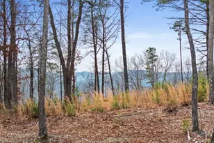 Lot 162 Ridge Dr, Morganton, GA 30560 - Photo 1
