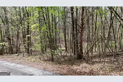 0 Shenandoah Drive, Cleveland, GA 30528 - Photo 2