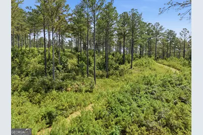 Lot 28 Hillside Lane, Ellijay, GA 30540 - Photo 12