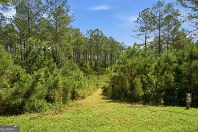 Lot 28 Hillside Lane, Ellijay, GA 30540 - Photo 16