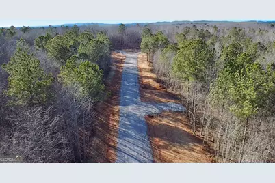 Lot 14 Berry Road, Barnesville, GA 30204 - Photo 4