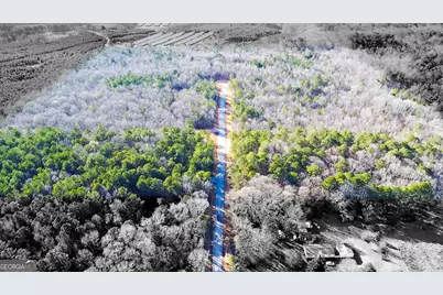 Lot 14 Berry Road, Barnesville, GA 30204 - Photo 6