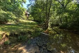 300 Chapman Ln, Blairsville, GA 30512 - Photo 40