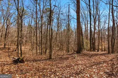 0 Davis Road, Eastanollee, GA 30538 - Photo 8