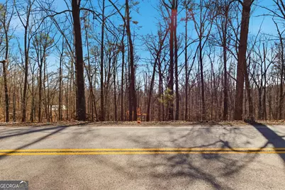 0 Davis Road, Eastanollee, GA 30538 - Photo 14