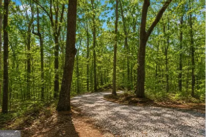 0 Davis Road, Eastanollee, GA 30538 - Photo 1
