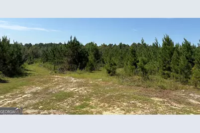 0 Dixon Road, Dublin, GA 31021 - Photo 10