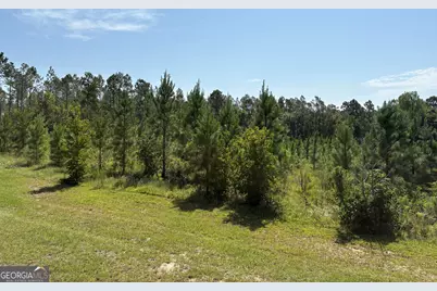 0 Dixon Road, Dublin, GA 31021 - Photo 2