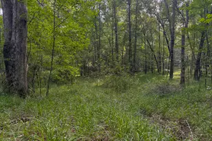 1709 Poplar Ridge Rd, Ellaville, GA 31806 - Photo 54