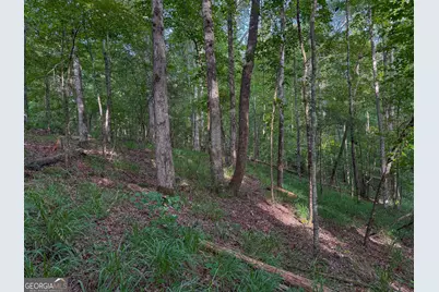 1709 Poplar Ridge Road, Ellaville, GA 31806 - Photo 56