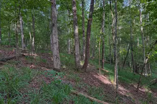 1709 Poplar Ridge Rd, Ellaville, GA 31806 - Photo 56