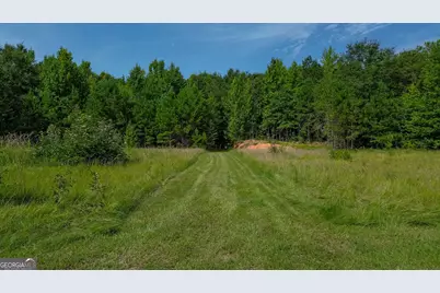 1709 Poplar Ridge Road, Ellaville, GA 31806 - Photo 4