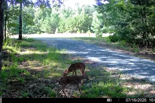 1709 Poplar Ridge Rd, Ellaville, GA 31806 - Photo 62