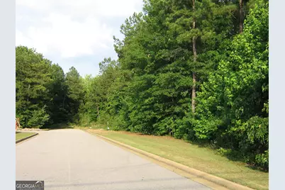 28.77 Acres Davis Road, Lagrange, GA 30241 - Photo 4