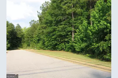 28.77 Acres Davis Road, Lagrange, GA 30241 - Photo 6