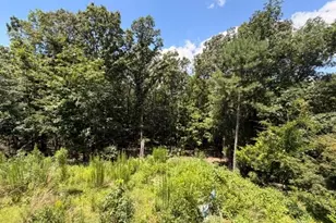 1657 Chubb Road SW, Cave Spring, GA 30124 - Photo 16