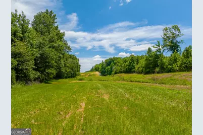47 Acres Cochran Road, Madison, GA 30650 - Photo 30