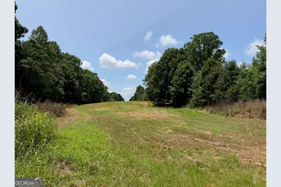 47 Acres Cochran Road, Madison, GA 30650 - Photo 20