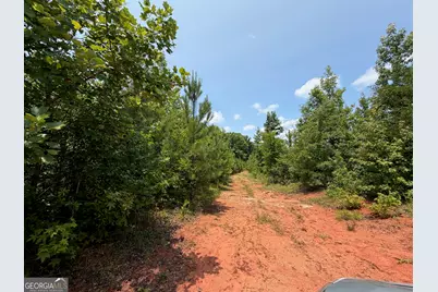 47 Acres Cochran Road, Madison, GA 30650 - Photo 16