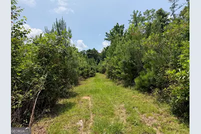 47 Acres Cochran Road, Madison, GA 30650 - Photo 6