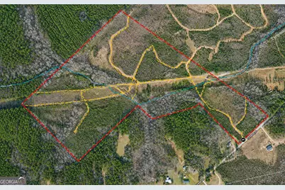 47 Acres Cochran Road, Madison, GA 30650 - Photo 6