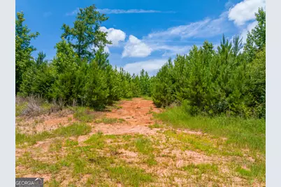 47 Acres Cochran Road, Madison, GA 30650 - Photo 8