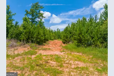 47 Acres Cochran Road, Madison, GA 30650 - Photo 28