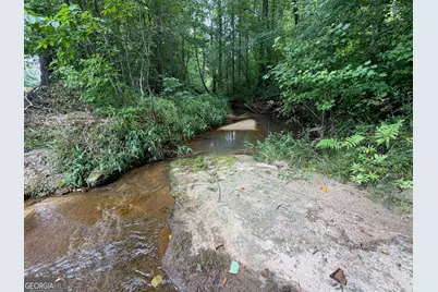 47 Acres Cochran Road, Madison, GA 30650 - Photo 2