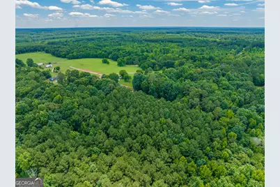47 Acres Cochran Road, Madison, GA 30650 - Photo 38