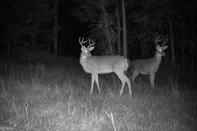 47 Acres Cochran Road, Madison, GA 30650 - Photo 20