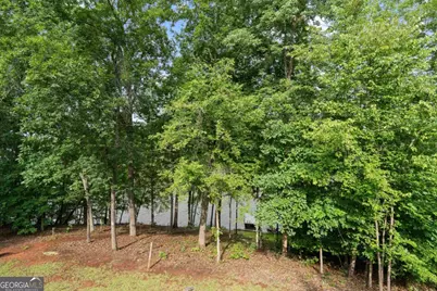 736 Susan Davis Road, Sparta, GA 31087 - Photo 40