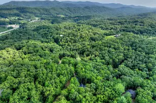 412 Mountain Tops Cir, Blue Ridge, GA 30513 - Photo 68