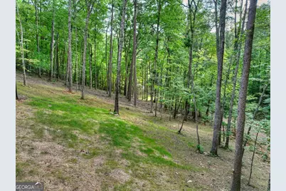 412 Mountain Tops Circle, Blue Ridge, GA 30513 - Photo 64