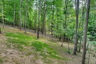 412 Mountain Tops Cir, Blue Ridge, GA 30513 - Photo 64