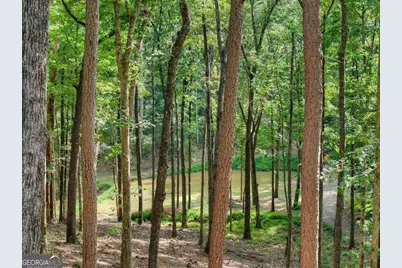 412 Mountain Tops Circle, Blue Ridge, GA 30513 - Photo 62