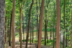 412 Mountain Tops Cir, Blue Ridge, GA 30513 - Photo 62