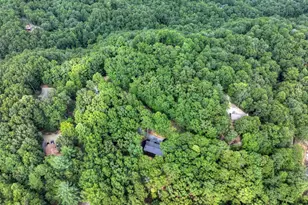 412 Mountain Tops Cir, Blue Ridge, GA 30513 - Photo 66