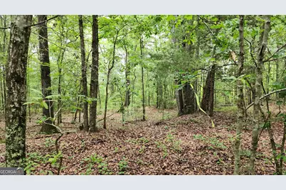 143 Highway 341 S, Barnesville, GA 30204 - Photo 8